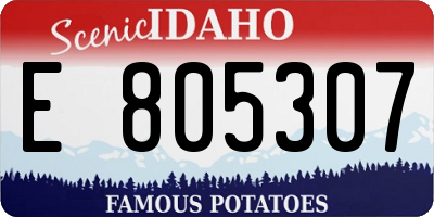 ID license plate E805307