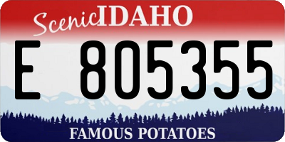ID license plate E805355
