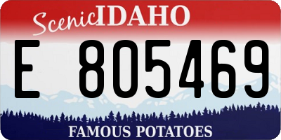 ID license plate E805469