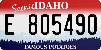 ID license plate E805490