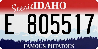 ID license plate E805517