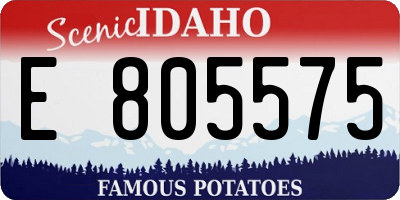 ID license plate E805575