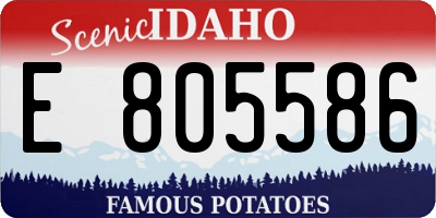 ID license plate E805586