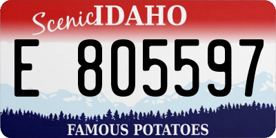 ID license plate E805597