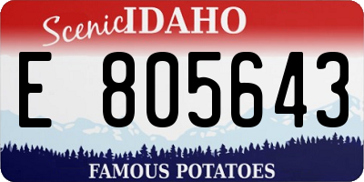 ID license plate E805643