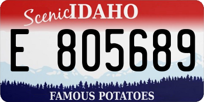 ID license plate E805689