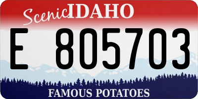 ID license plate E805703