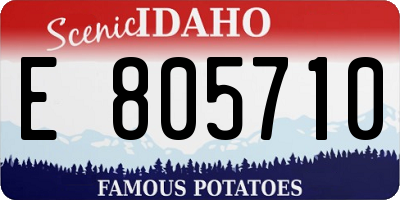 ID license plate E805710