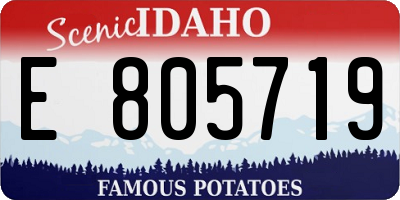ID license plate E805719