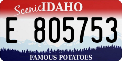 ID license plate E805753