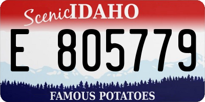 ID license plate E805779