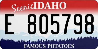 ID license plate E805798