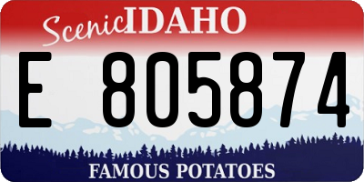 ID license plate E805874