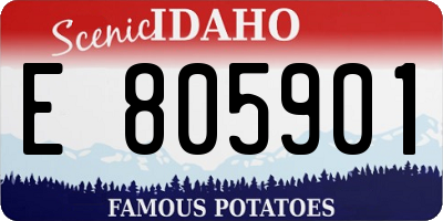 ID license plate E805901