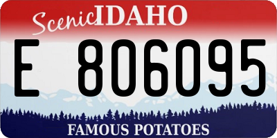 ID license plate E806095