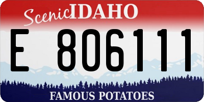 ID license plate E806111