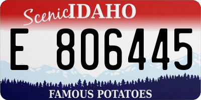 ID license plate E806445