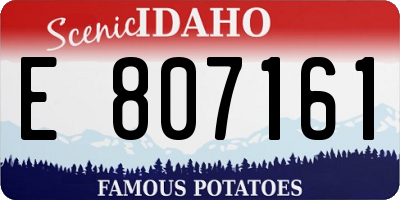 ID license plate E807161