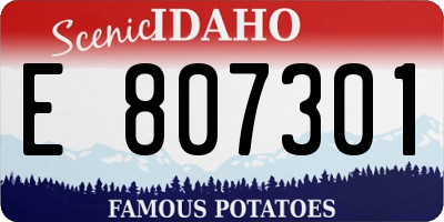 ID license plate E807301