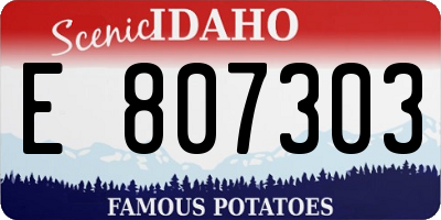 ID license plate E807303
