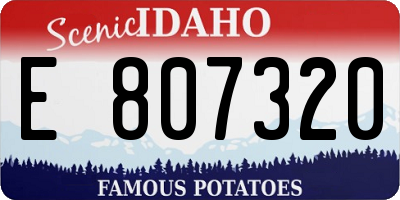 ID license plate E807320