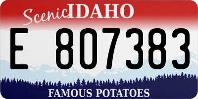ID license plate E807383