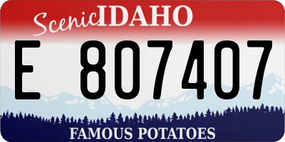 ID license plate E807407