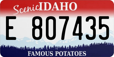 ID license plate E807435