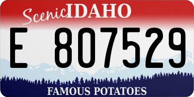 ID license plate E807529