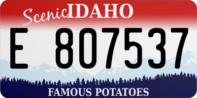 ID license plate E807537