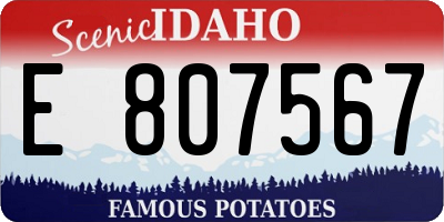 ID license plate E807567