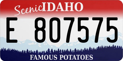 ID license plate E807575