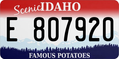 ID license plate E807920