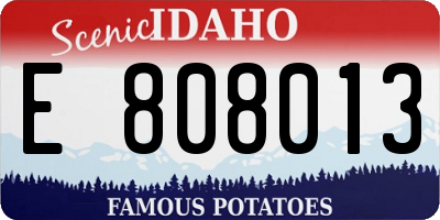 ID license plate E808013