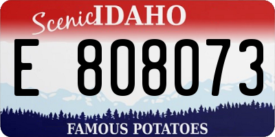 ID license plate E808073