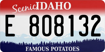 ID license plate E808132