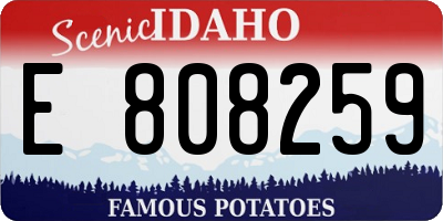 ID license plate E808259