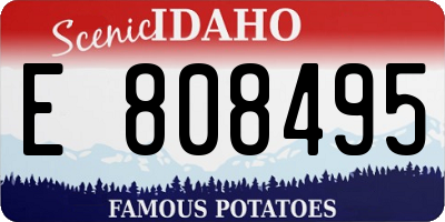 ID license plate E808495