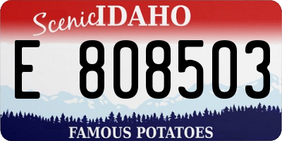 ID license plate E808503