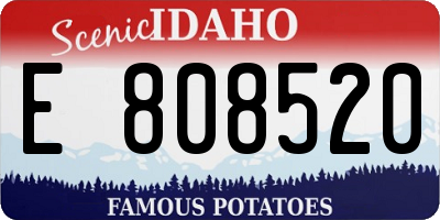 ID license plate E808520