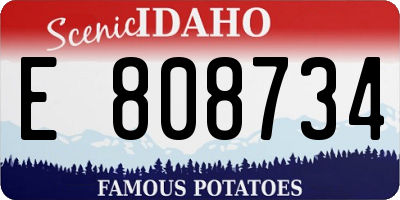 ID license plate E808734