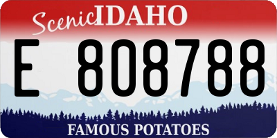 ID license plate E808788