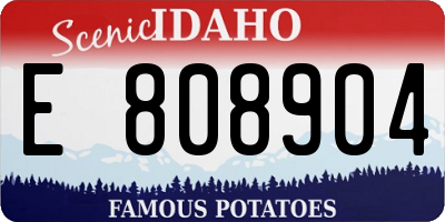 ID license plate E808904