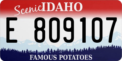 ID license plate E809107