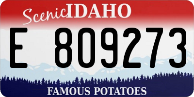 ID license plate E809273