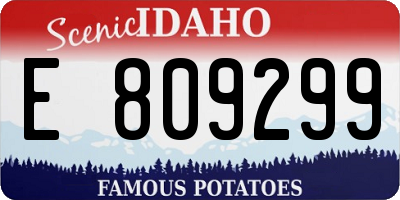 ID license plate E809299