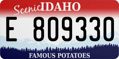 ID license plate E809330