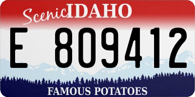 ID license plate E809412