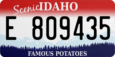 ID license plate E809435