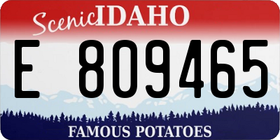 ID license plate E809465